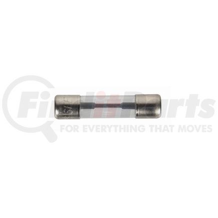 The Best Connection 2421F 30 Amp SFE Glass Iron-Head Fuse 2 Pcs