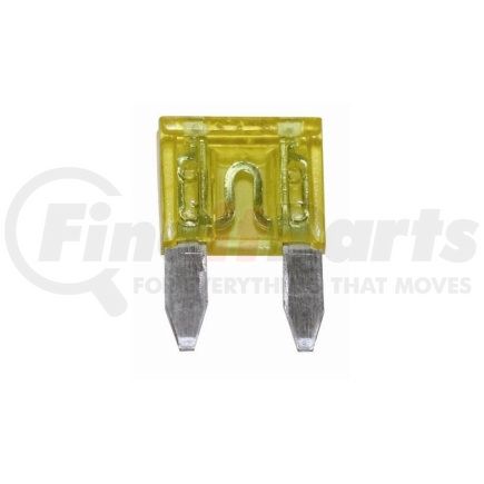 The Best Connection 20309F 30 Amp Green Mini Fuse 2 Pcs