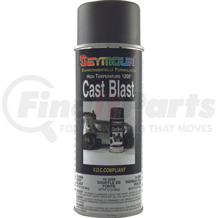 Seymour of Sycamore, Inc 16-2668 Hot Spot® Cast Blast Hi-Heat Resistant Paint