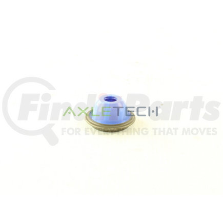 AxleTech 120501150E Seal-Adjusting Bolt