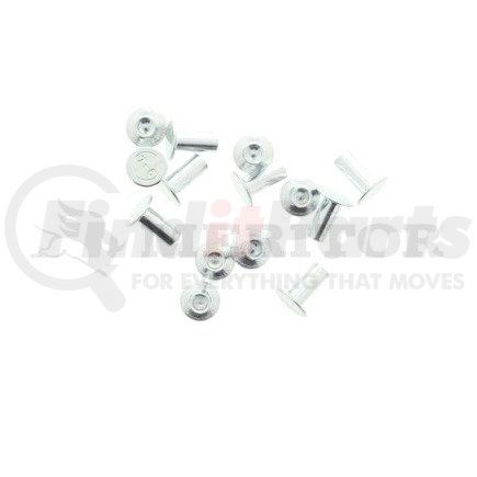 Meritor RV376 RIVET