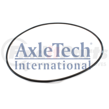 AxleTech 1205S2671 PISTON INNER