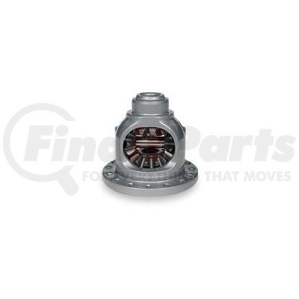 American Axle 40048044 Axle: Differential Cases - Internal Gears