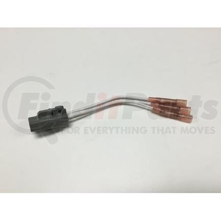 Cummins 3163666 Electrical Connectors