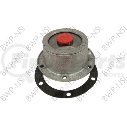 BWP-NSI M-2768 - 6 hole hub cap gasket