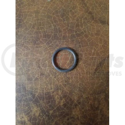 Navistar 1811053C1 INTERNATIONAL RING O