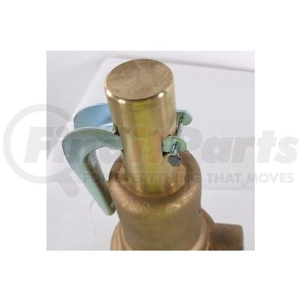 Apollo Valves 19-KJHK-60 RELIEF VALVE_60PSI_200P_AN