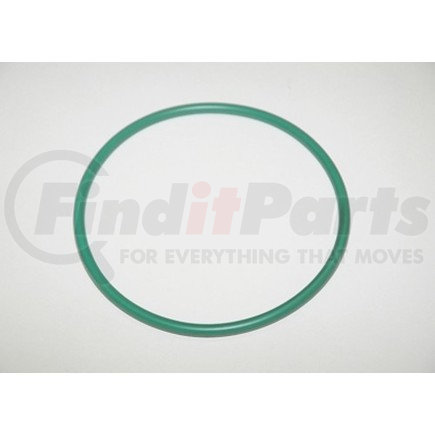 Fuel Pump Tank Seal