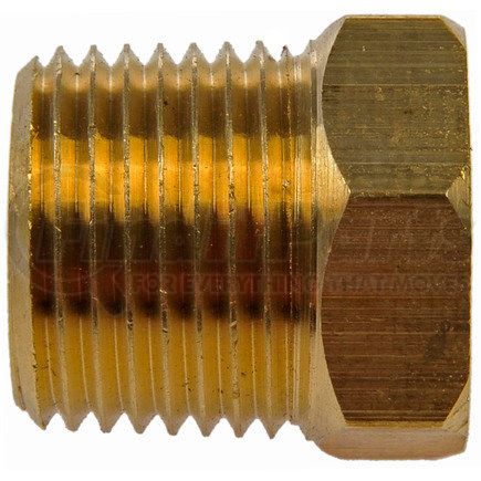 Dorman 785-424 Pipe Plug-Hex Head-3/8 In. MNPT