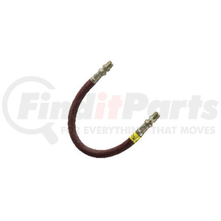 Alemite 317850-1F Extension Hoses