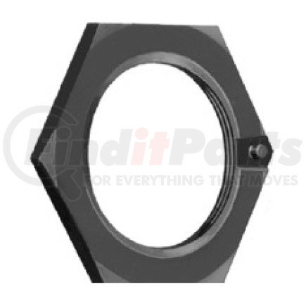 EUCLID E-2417 -  wheel attaching spindle nut