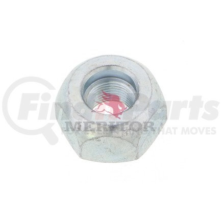 Meritor 1199G 111 CAP NUT