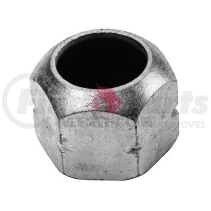 Meritor 1199E1201 CAPNUT