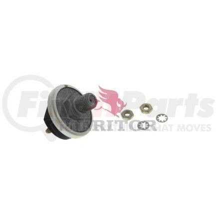 Meritor RBE13250 Brake Light Switch - 3-5 psi, Circuit Normally Open At 0 Pressure