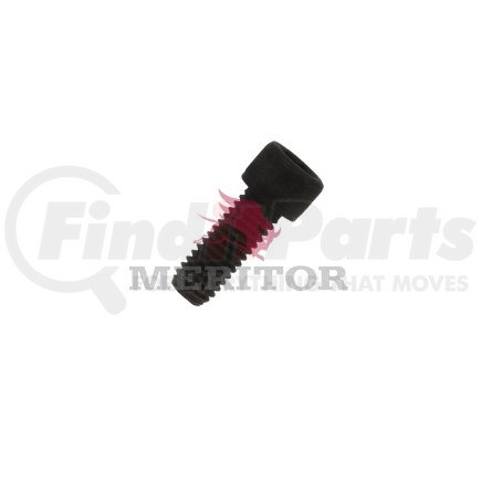 Meritor 15X 387 Screw Cap - for Thru Shaft Bearing Cage