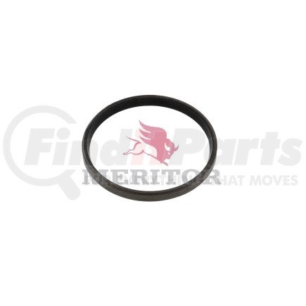 Meritor A1205K2117 KING PIN SEAL