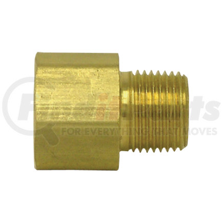 Tectran 88171 Air Brake Governor Adapter - Brass, 1/2 in. Female Pipe, 1/2 in. Male Thread