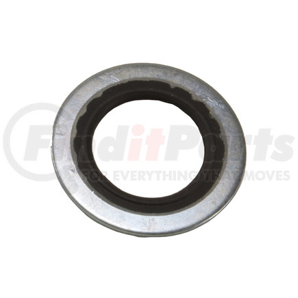 Cummins 3963991 Washer