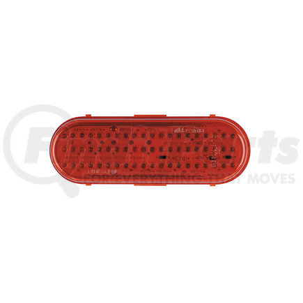 MAXXIMA LIGHTING M63100R - 60 led oval stainless steel red