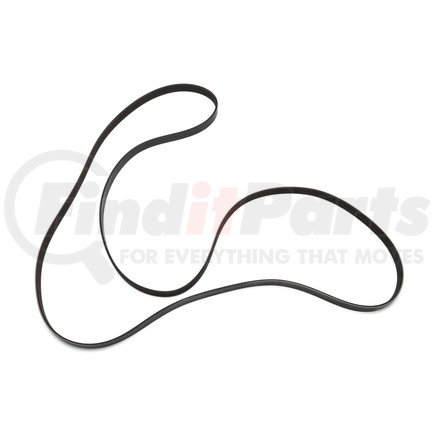 ACDelco 12577770 V-Ribbed Serpentine Belt