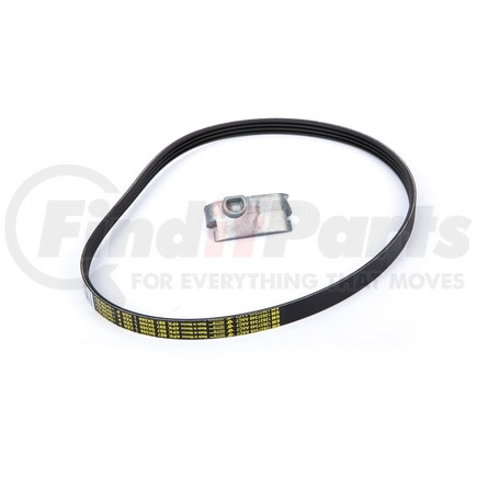 Serpentine Belt