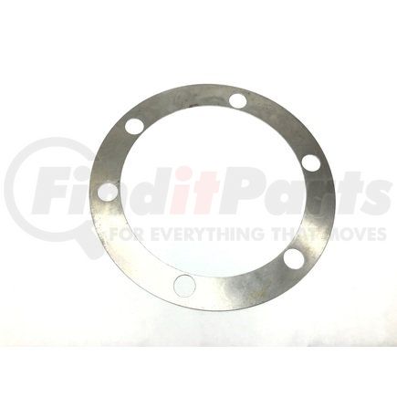 Dana 113880 SHIM .030