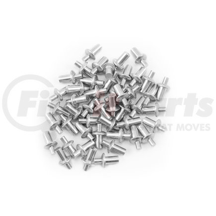 Save-A-Load 080-R089R REPLACEMENT RIVETS FOR ALL HOOP KITS,  50 RIVETS