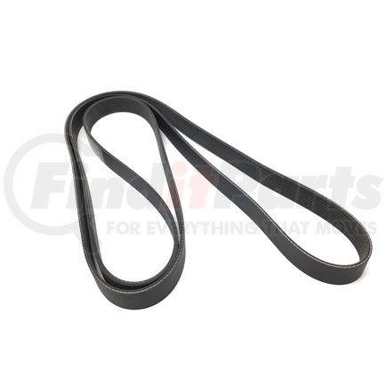 Dayco 5081063 POLY RIB BELT, DAYCO