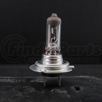 Eiko H7-55 Halogen Capsule