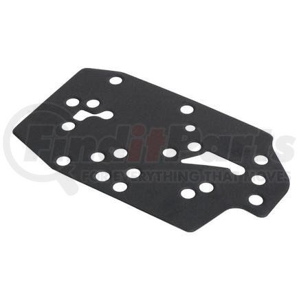 Dana 4211196 DANA SPICER Gasket