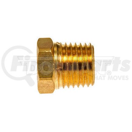 Dorman 490-075.1 Brass Plug-Pipe Thread- 1/4 In.