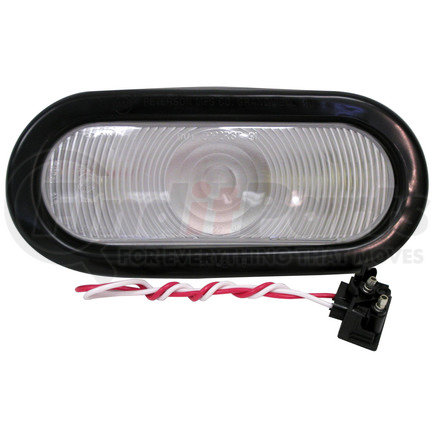 License, Courtesy & Auxiliary Lamps