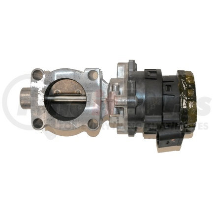 Exhaust Gas Recirculation (EGR) Valve