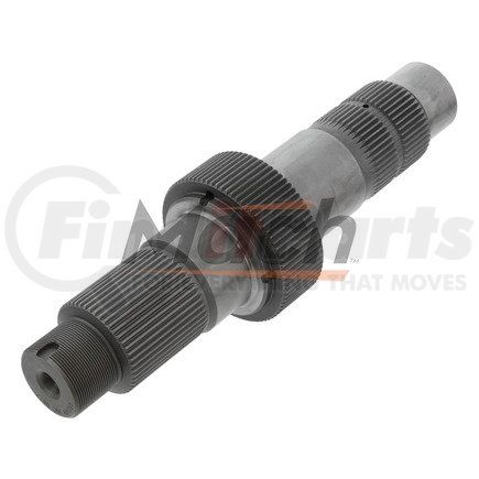 M12513840P