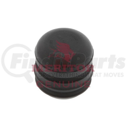 Meritor 1199N4200 CAP