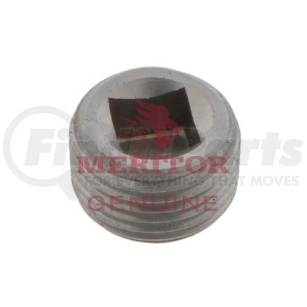 Meritor P 28 Axle Hardware - Filler Plug