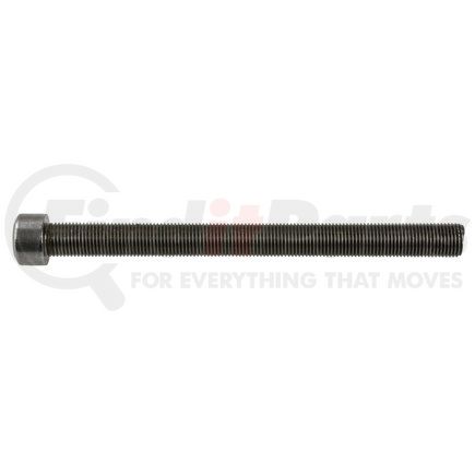 World American WA07-5068 Leaf Spring Center Bolt - 6" Length Under Head, 1/2"-20 Thread