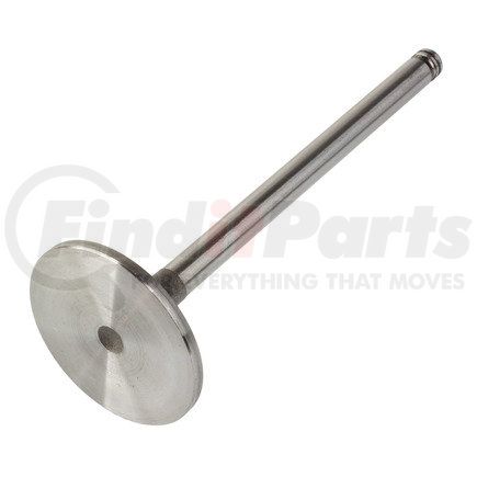 World American WA902-08-3437 Engine Intake Valve - Fits Cummins 8.3L C Series