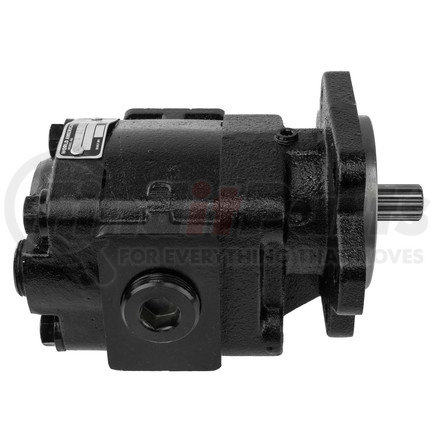 WORLD AMERICAN WAK20B15ANX PK20 Series Gear Pump