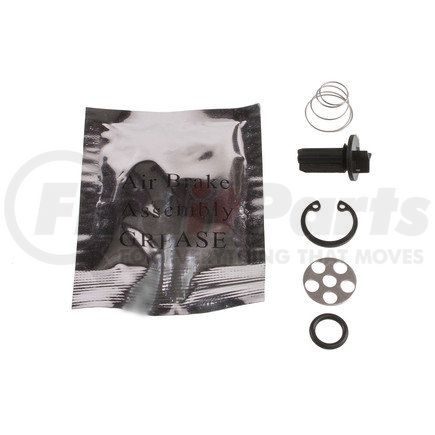 World American WAR950017 CHECK VALVE KIT