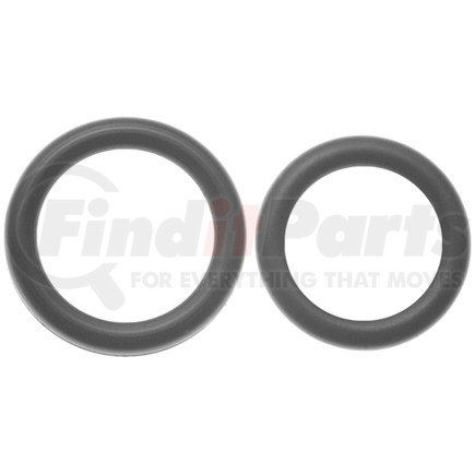ACDelco 217-461 Fuel Injection Fuel Rail O-Ring Kit with 2 O-Rings