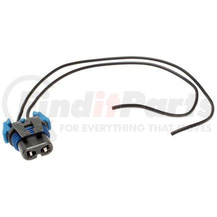 ACDelco LS254 Headlamp Socket