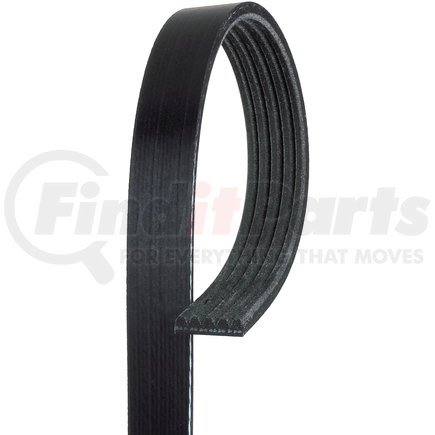 ACDelco 5K429 V-Ribbed Serpentine Belt