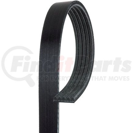 ACDelco 5K545 Professional™ Serpentine Belt, Standard, V-Ribbed