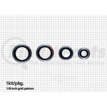 ACDelco 15-34239 Air Conditioning Expansion Valve Seal Kit with Tube Seals and Valve Seals