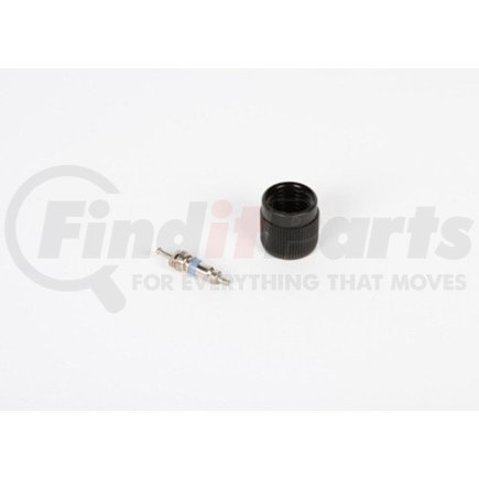 ACDelco 12597209 Fuel Injection Fuel Pressure Service Kit with Valve and Cap