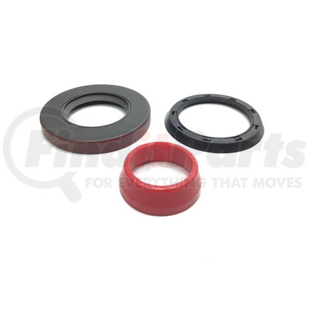 PAI 136066 Seal Kit