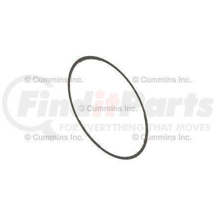 Cummins 3924445 Multi-Purpose Shim