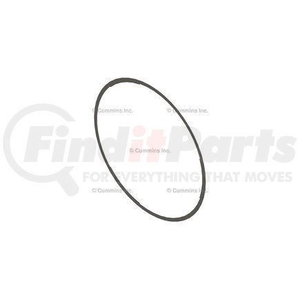 Cummins 3924449 Multi-Purpose Shim