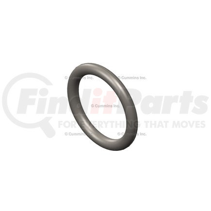 Cummins 3910260 Seal Ring / Washer